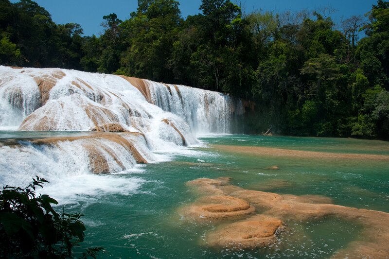 Waterfall in lush forest