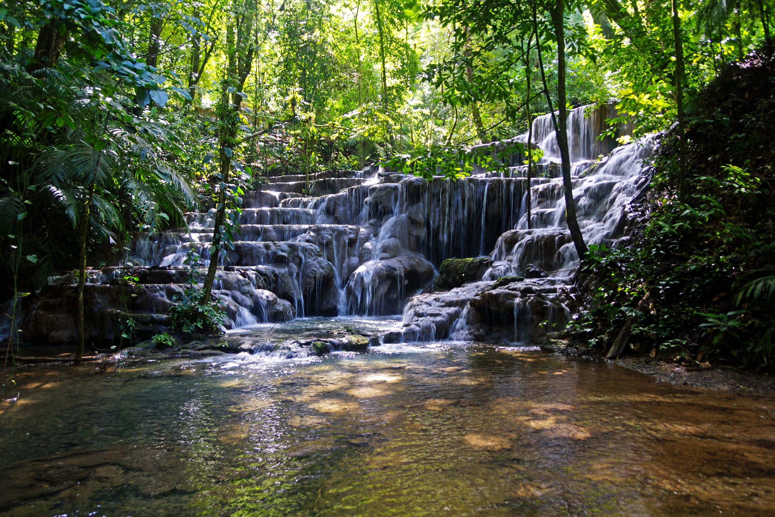 Waterfall in lush forest