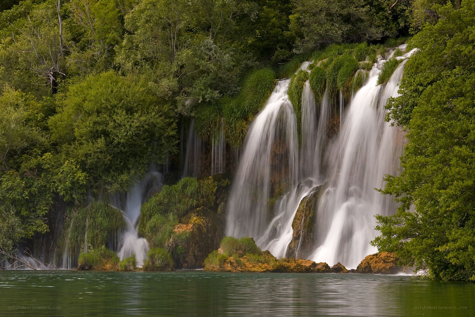 Waterfall in lush forest