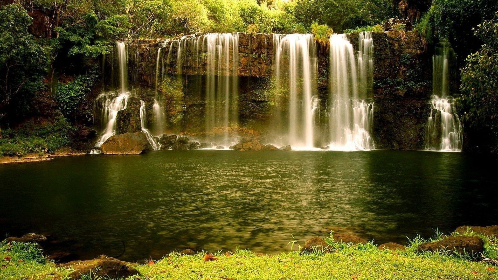 Waterfall in lush forest
