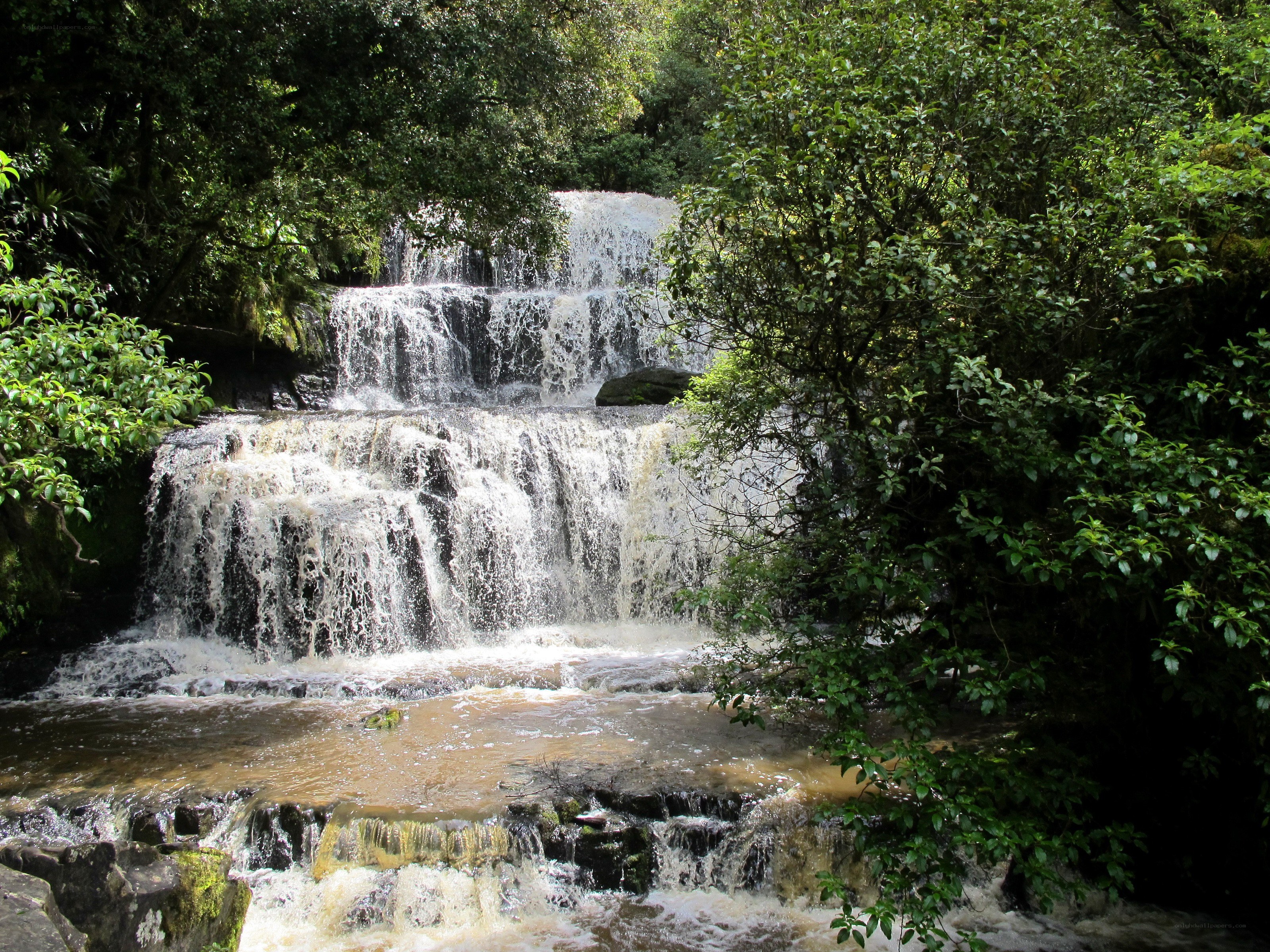 Waterfall in lush forest