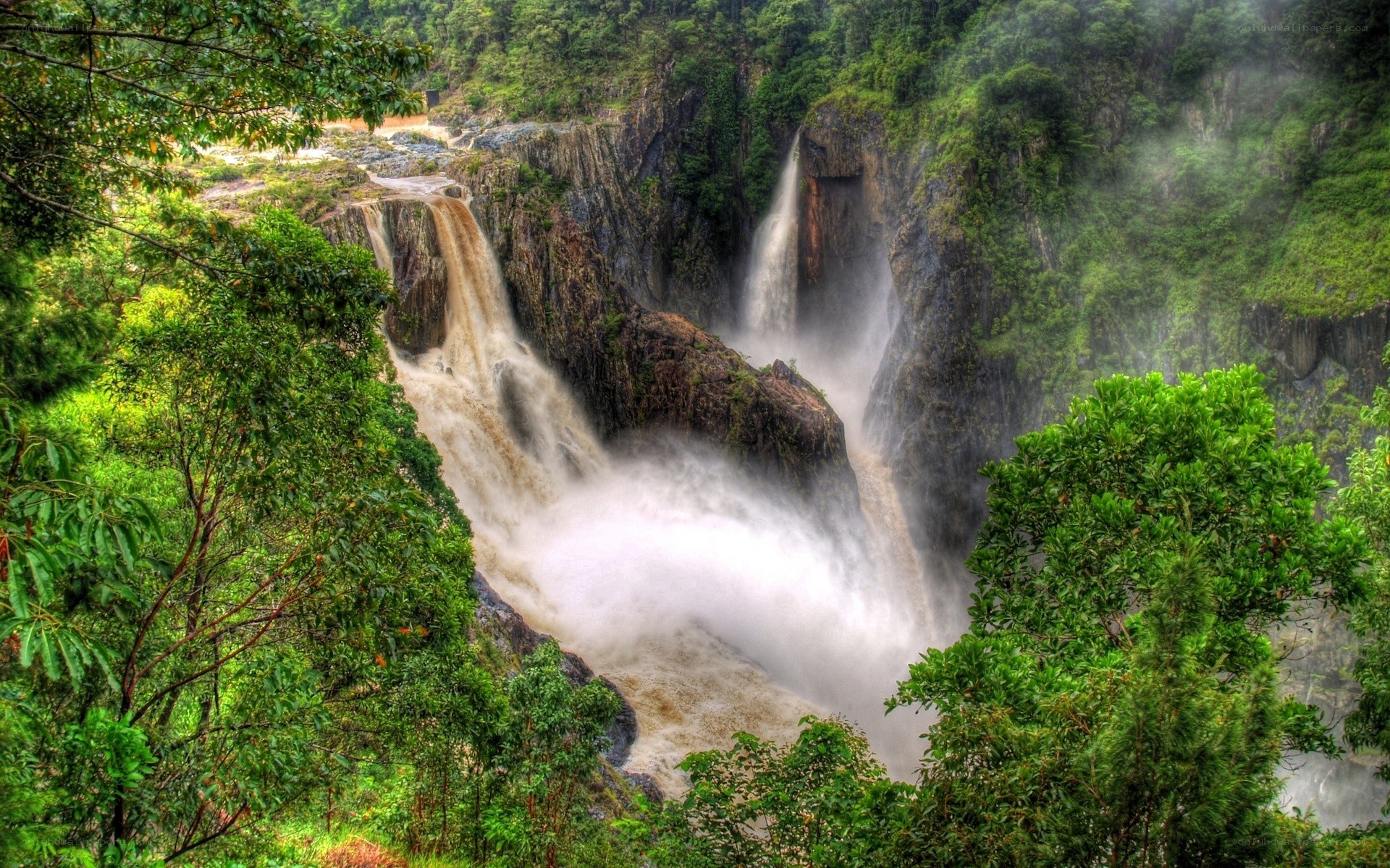 Waterfall in lush forest