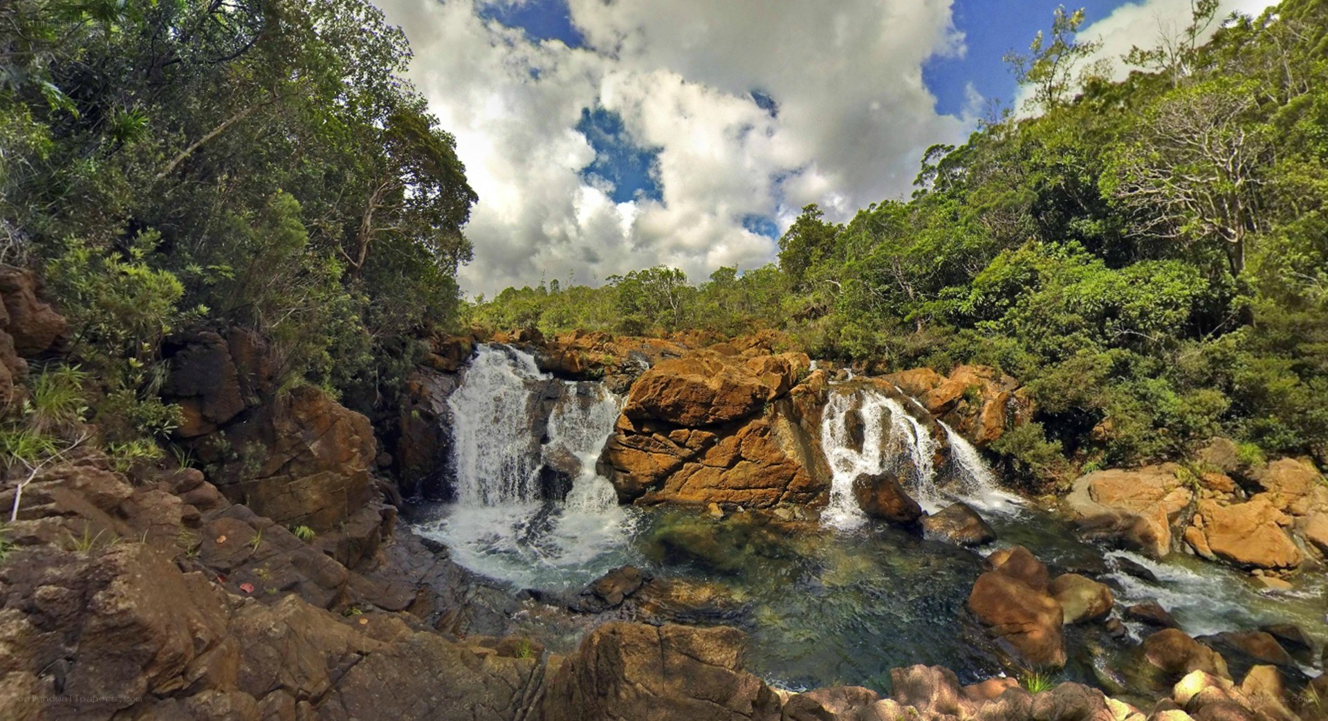 Waterfall in lush forest
