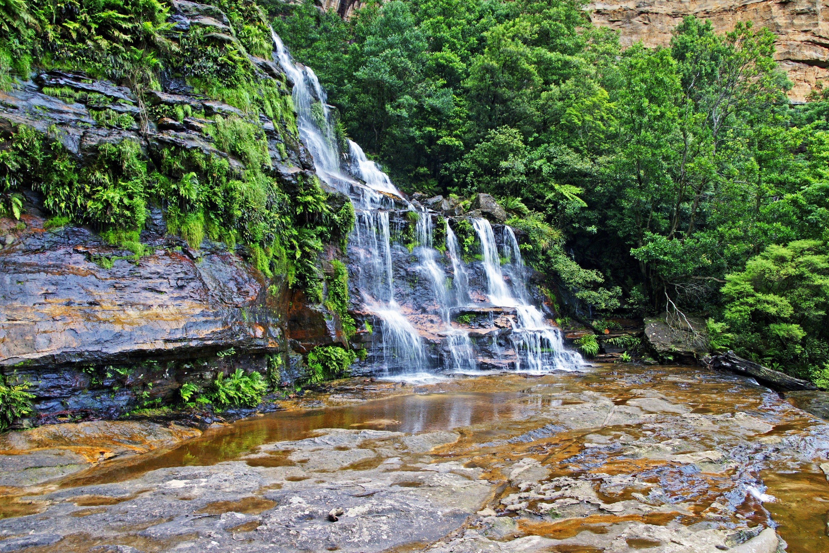 Waterfall in lush forest
