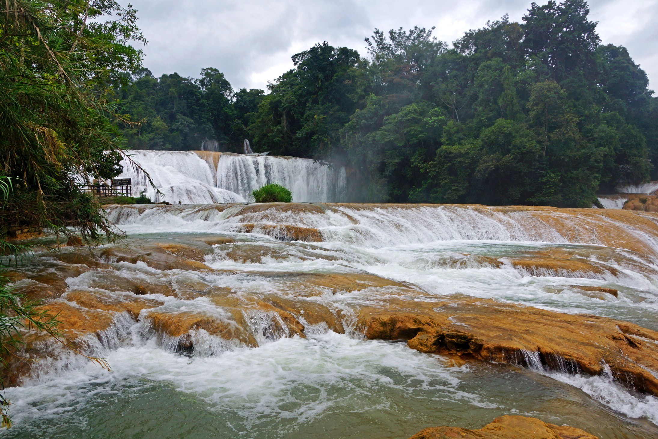 Waterfall in lush forest