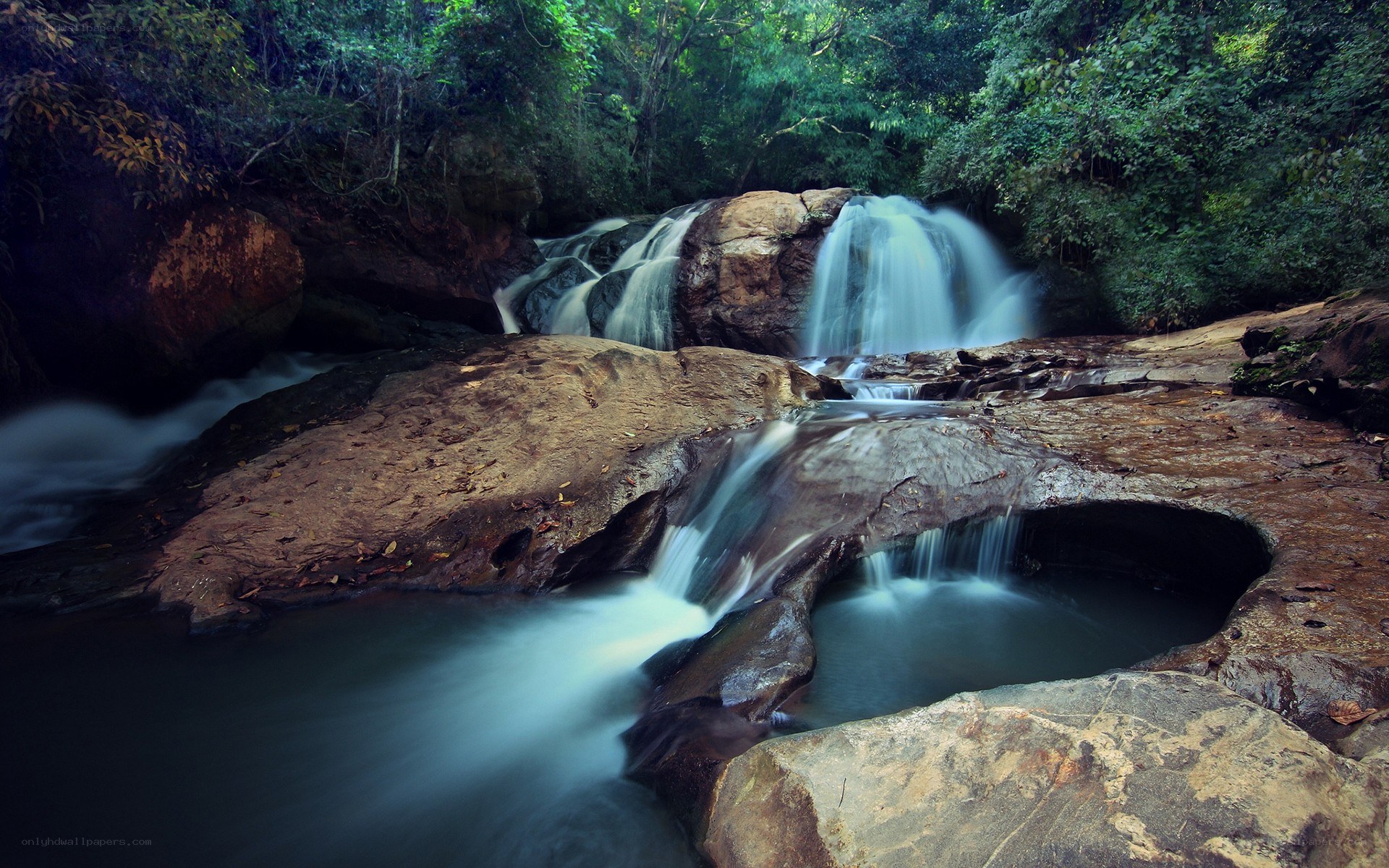 Waterfall in lush forest