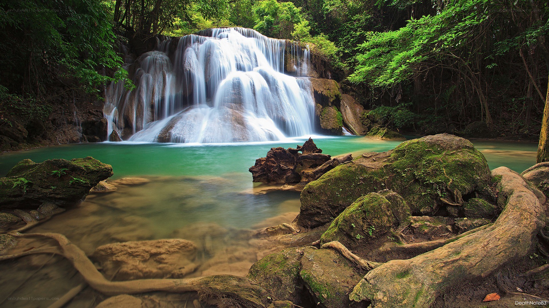 Waterfall in lush forest