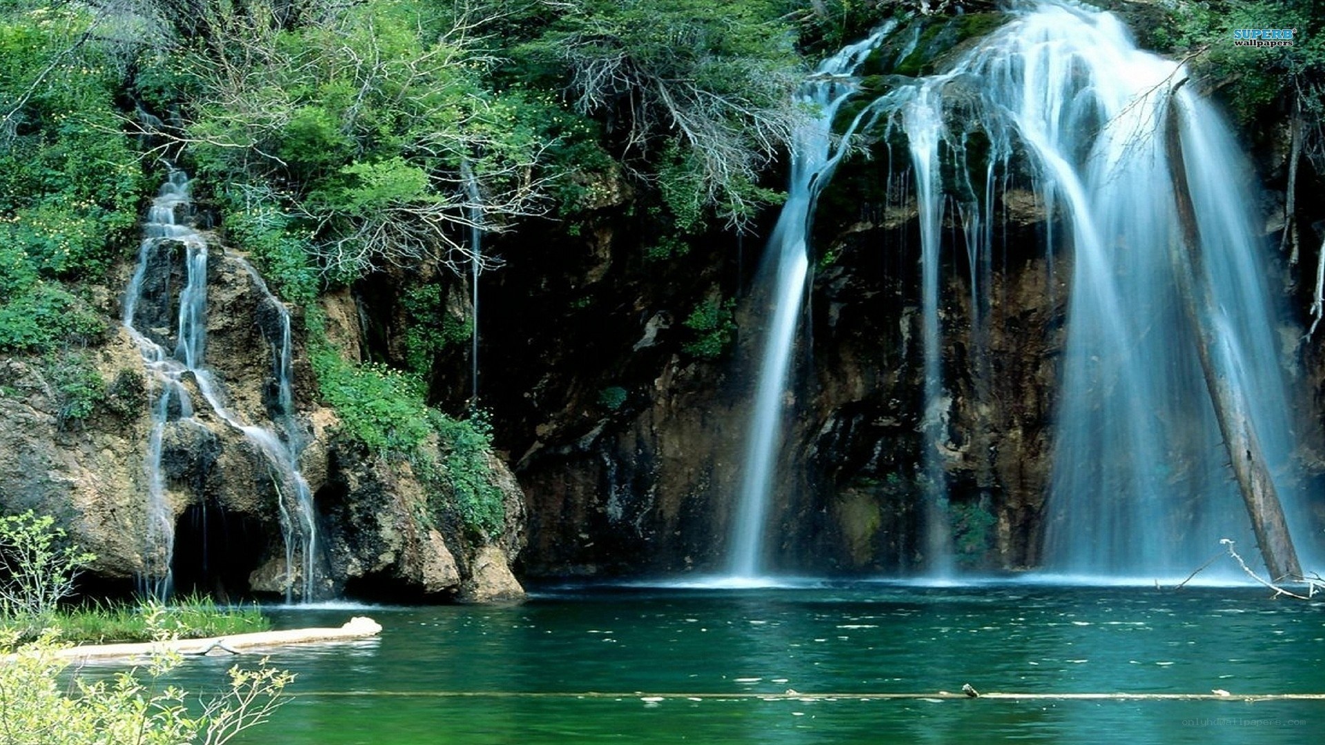 Waterfall in lush forest