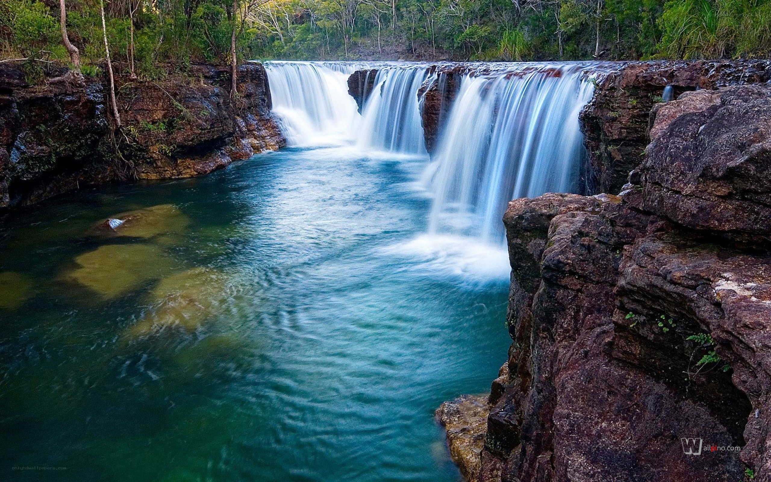 Waterfall in lush forest
