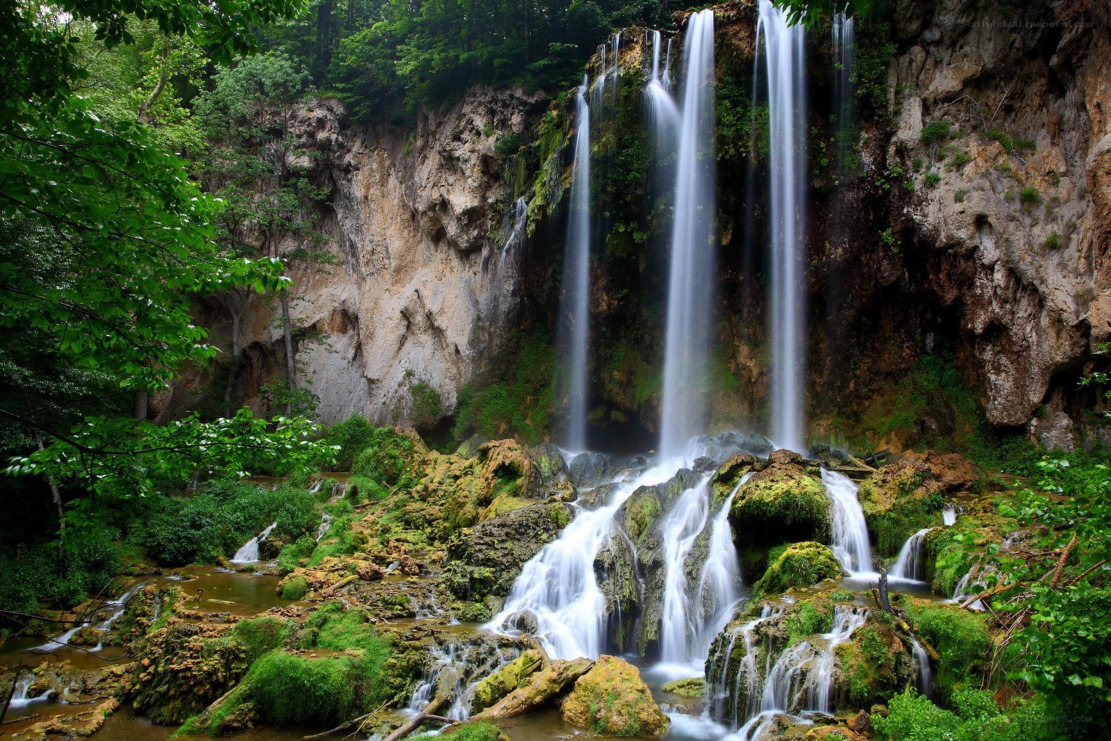 Waterfall in lush forest