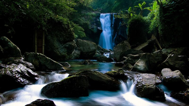 Waterfall in lush forest