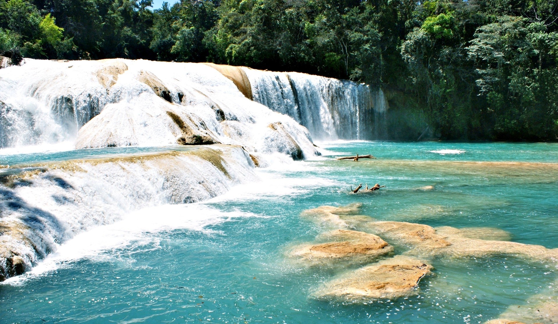 Waterfall in lush forest