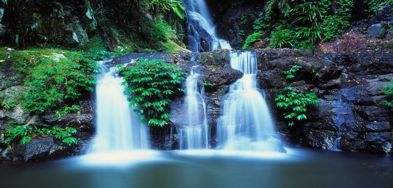 Waterfall in lush forest