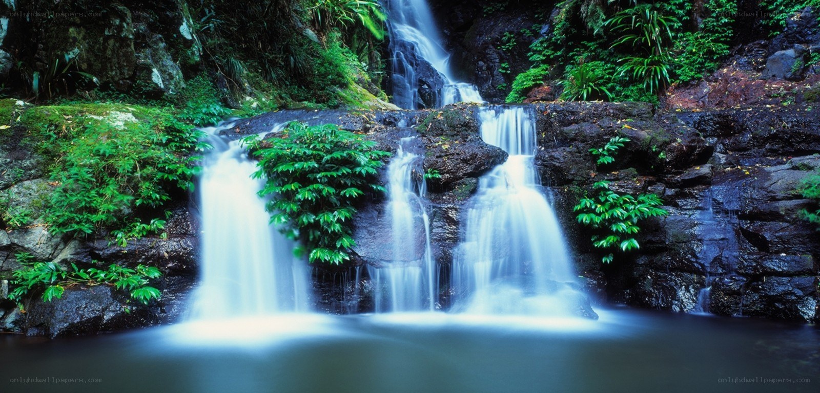 Waterfall in lush forest
