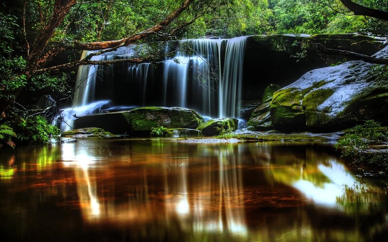 Waterfall in lush forest