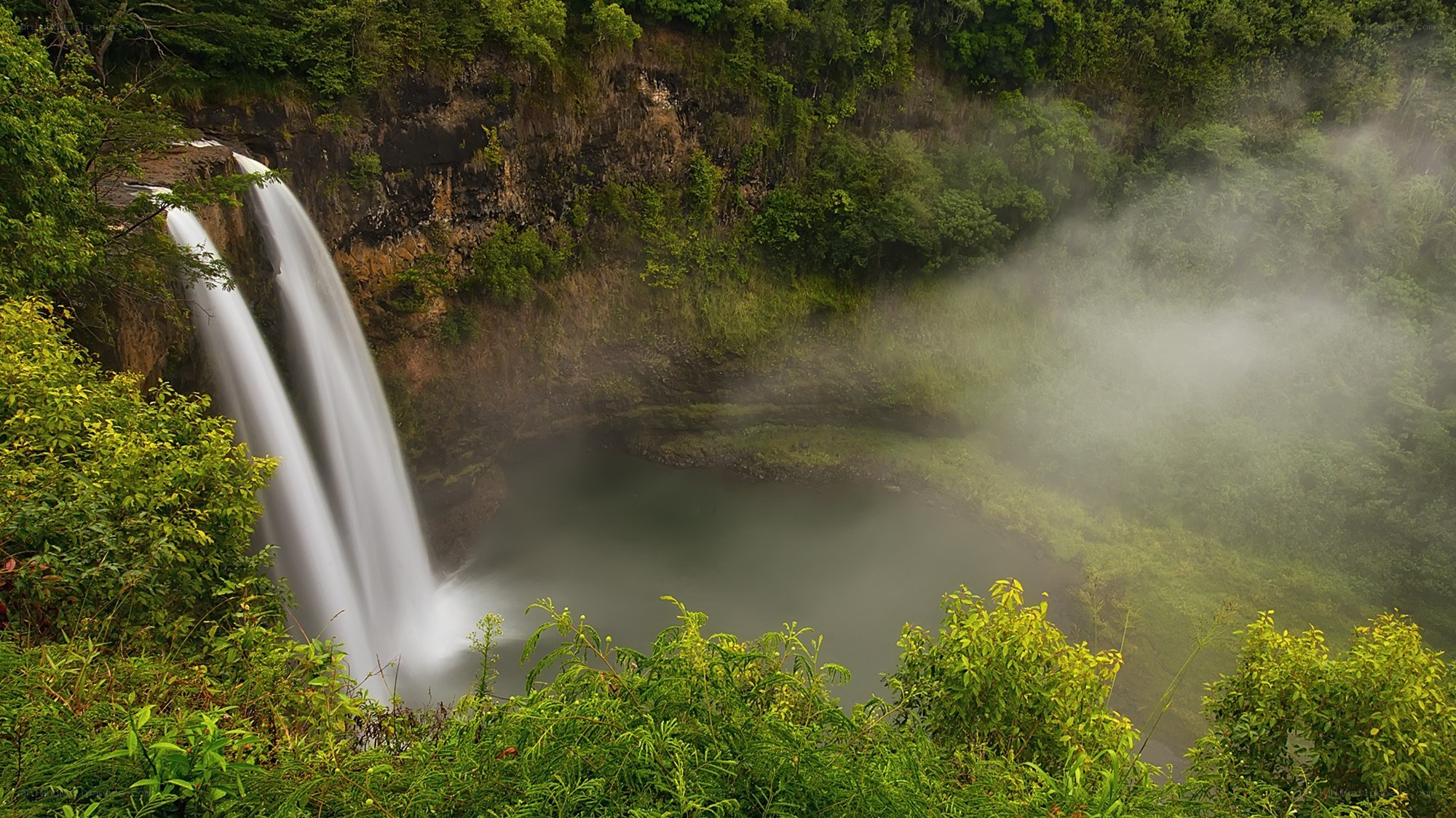 Waterfall in lush forest