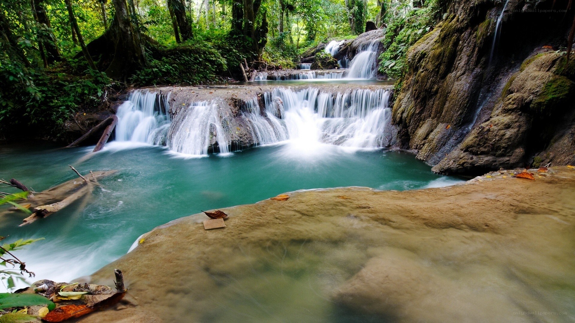 Waterfall in lush forest