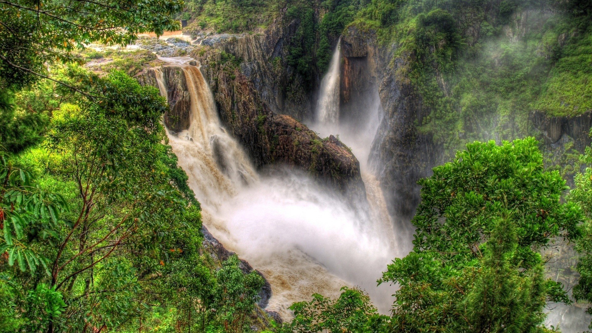 Waterfall in lush forest