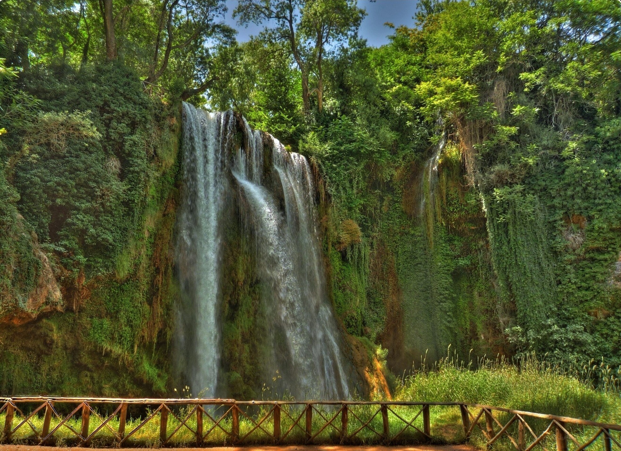 Waterfall in lush forest