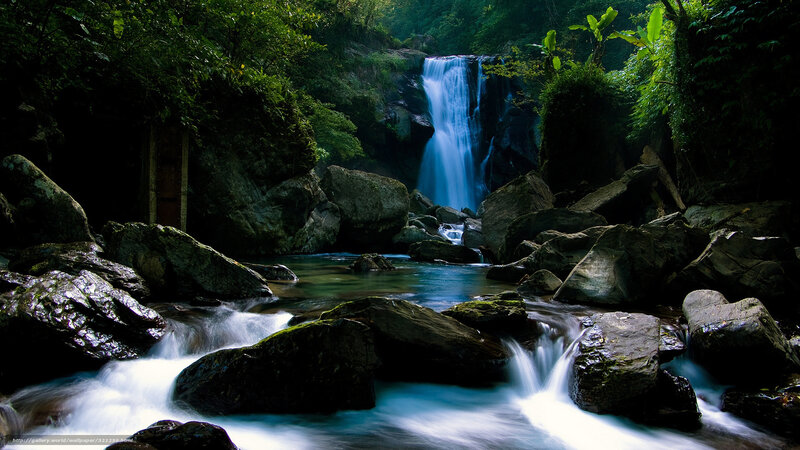 Waterfall in lush forest