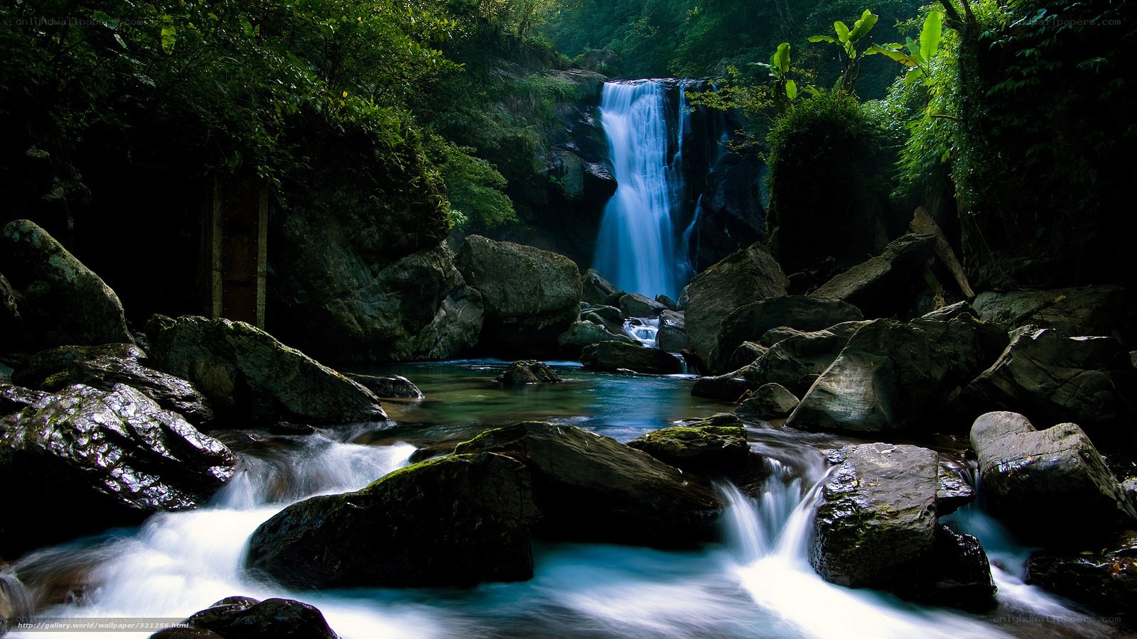 Waterfall in lush forest