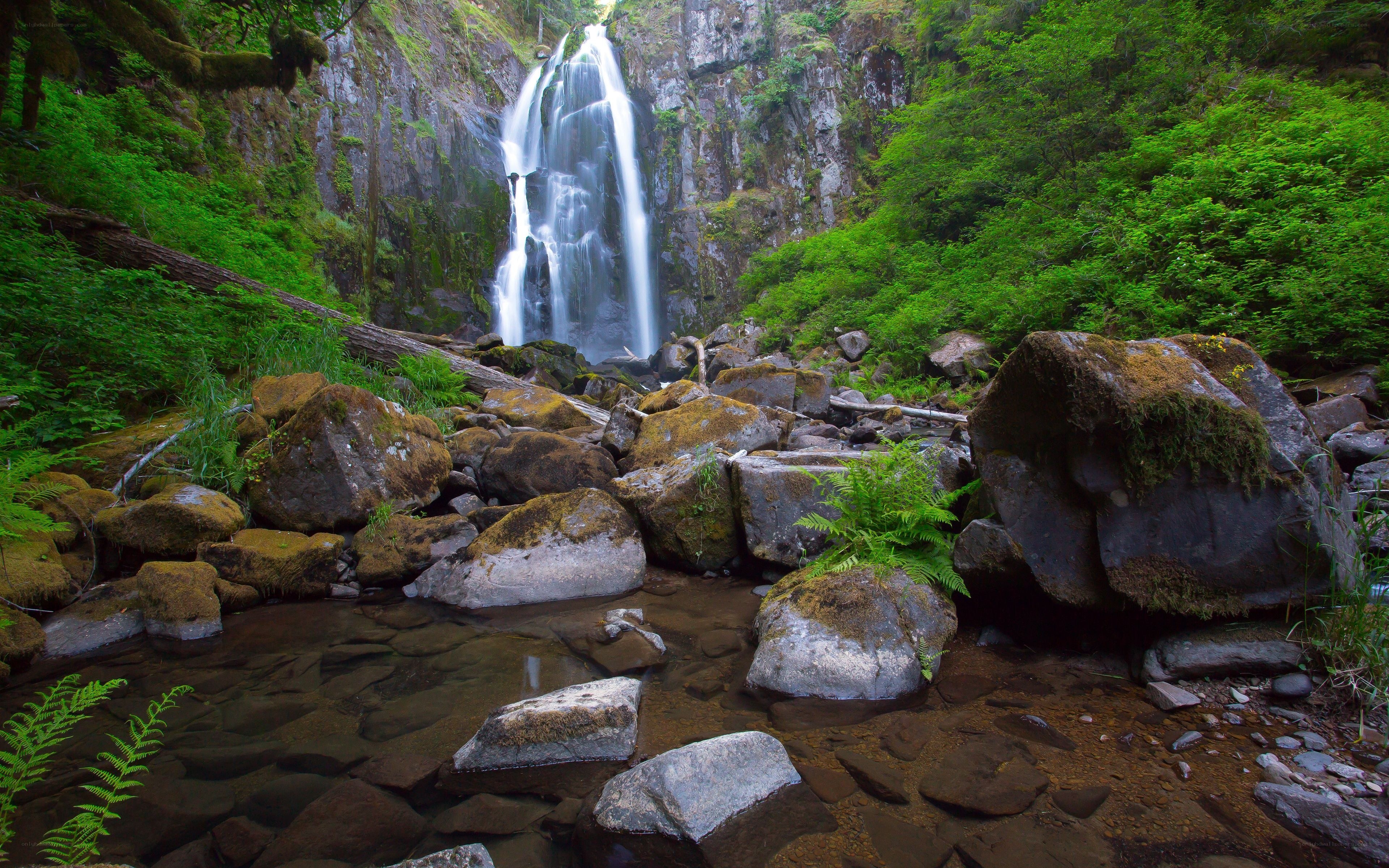 Waterfall in lush forest