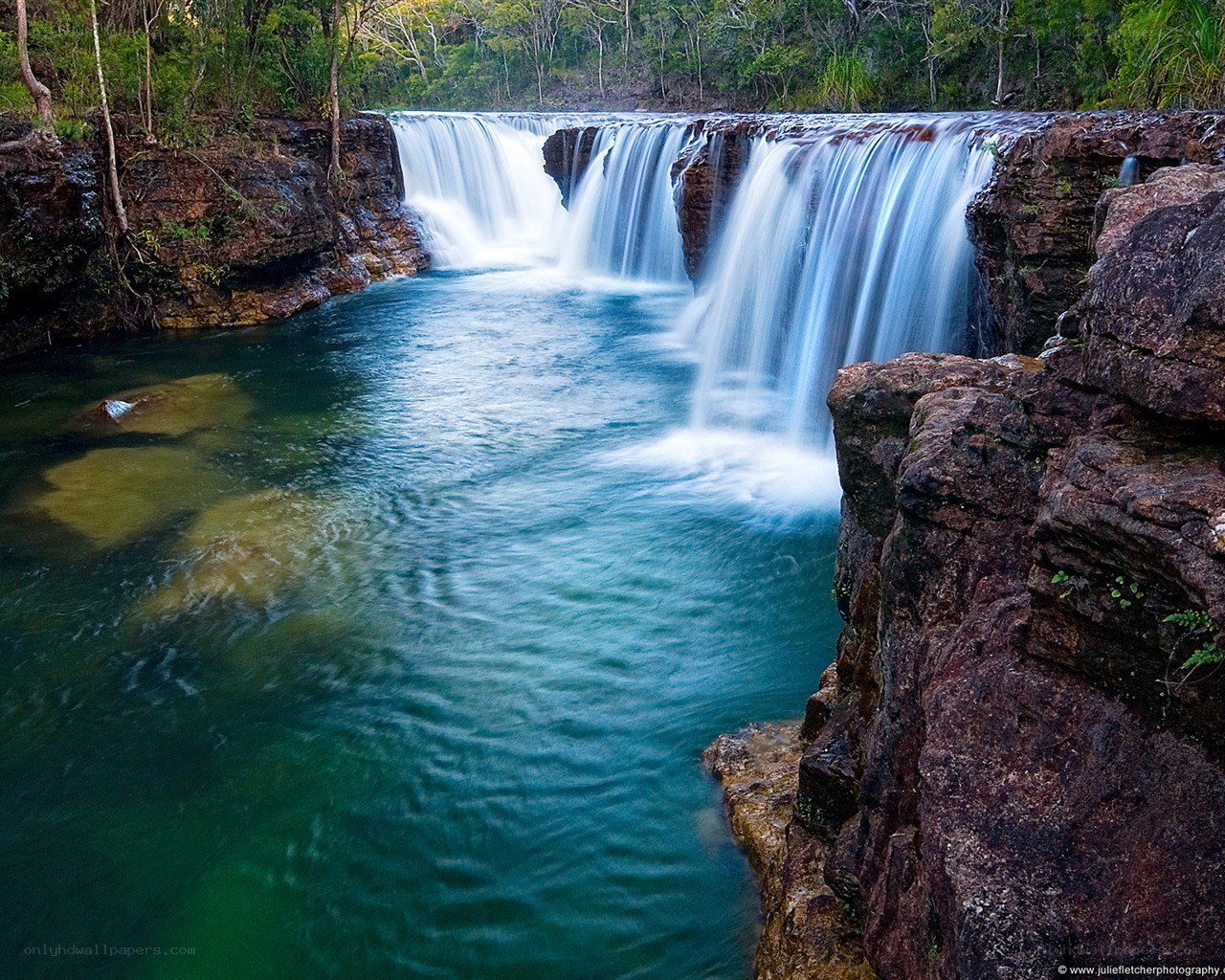 Waterfall in lush forest