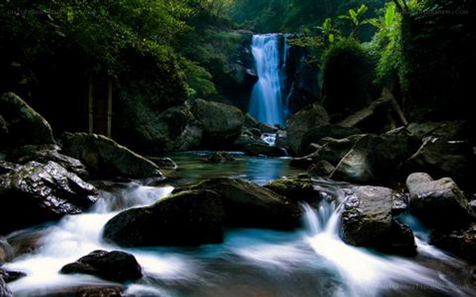 Waterfall in lush forest