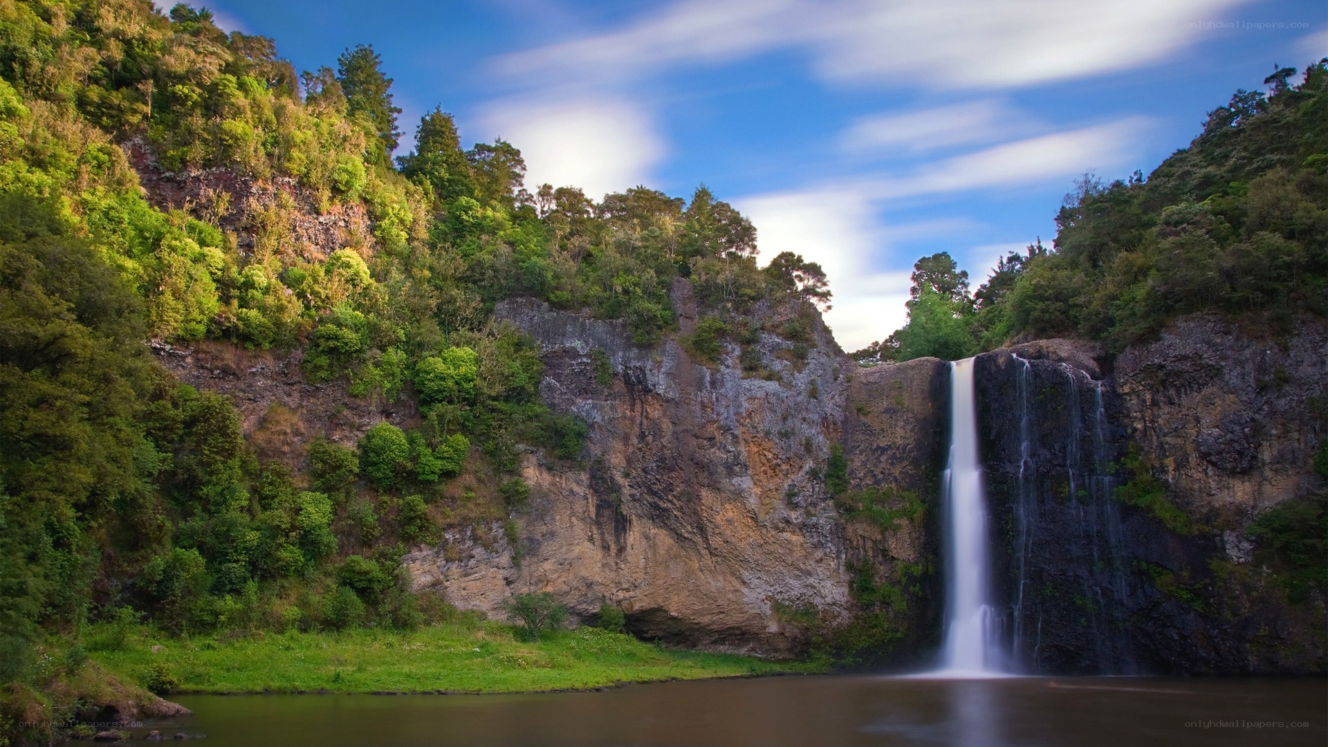 Waterfall in lush forest