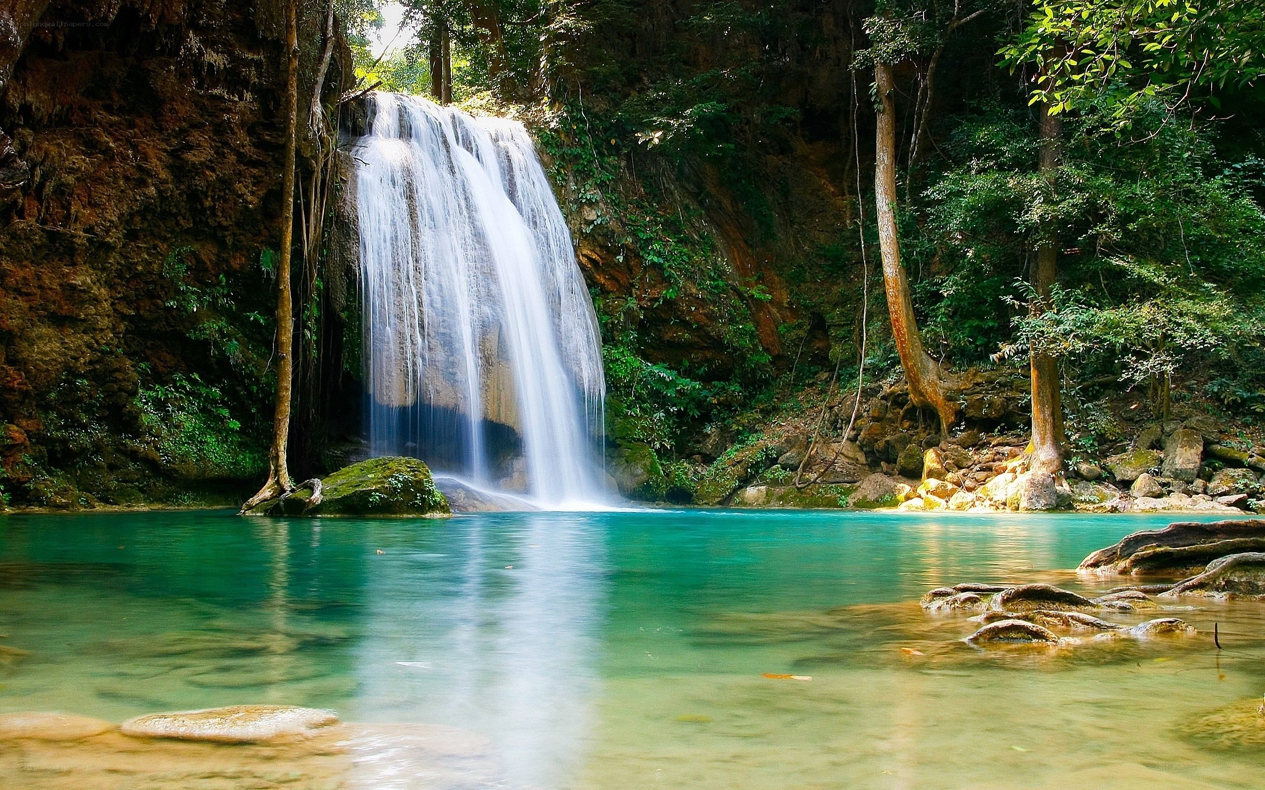 Waterfall in lush forest