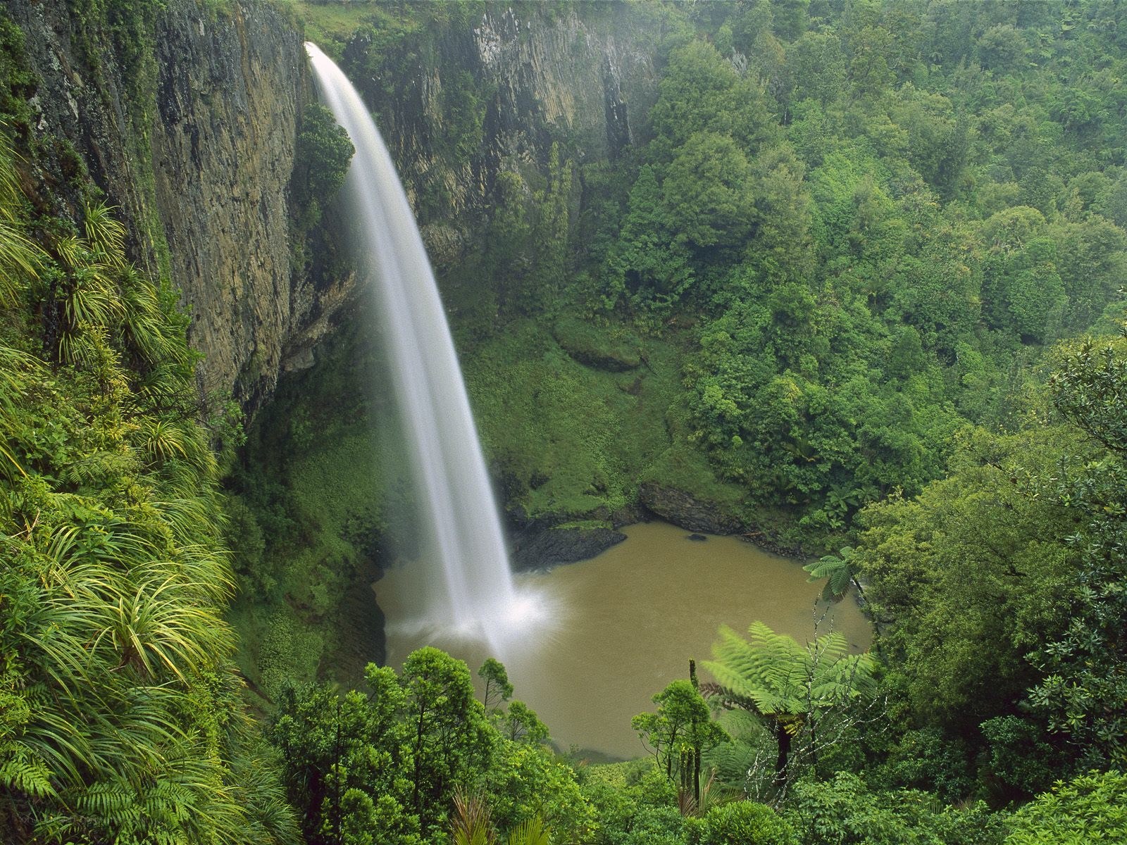 Waterfall in lush forest