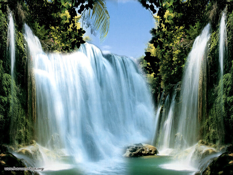 Waterfall in lush forest