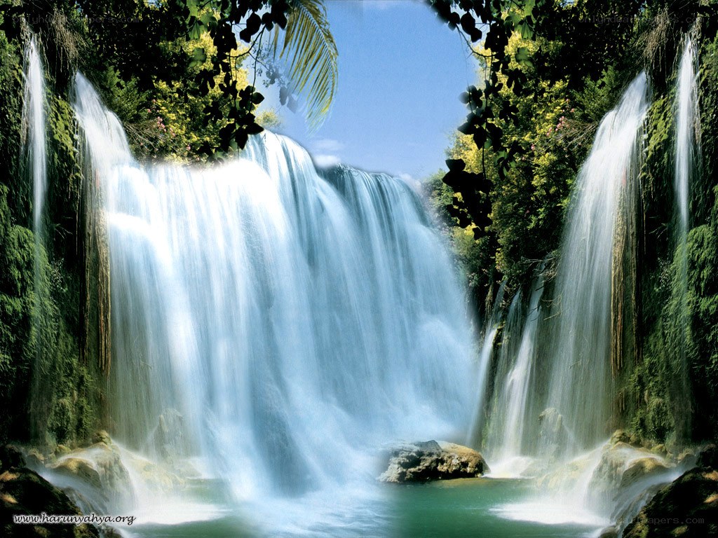 Waterfall in lush forest