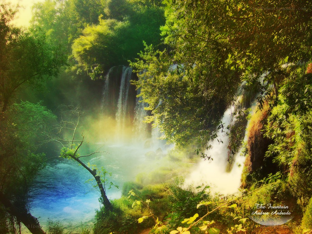 Waterfall in lush forest