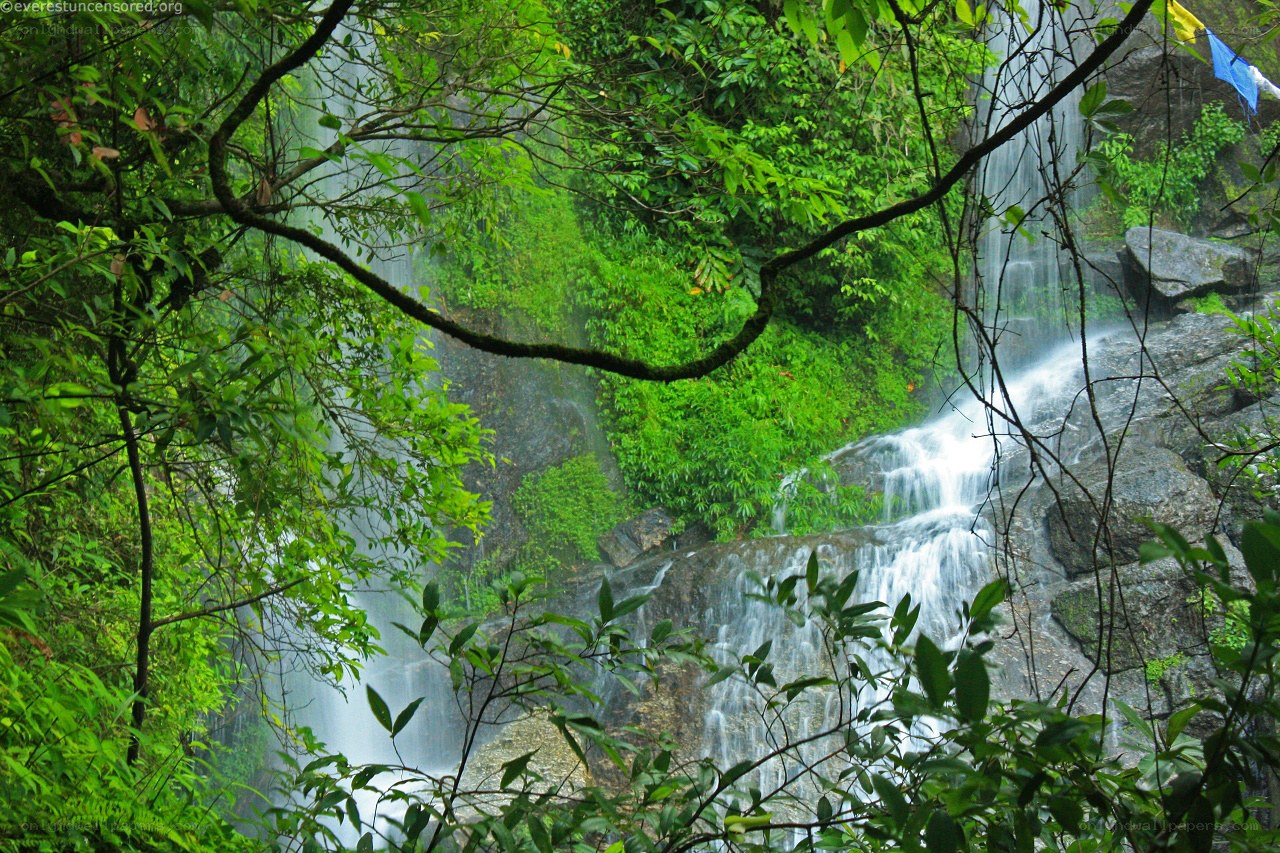 Waterfall in lush forest
