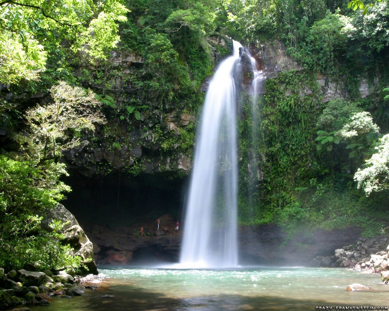 Waterfall in lush forest
