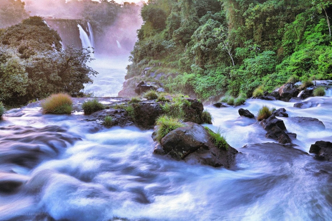 Waterfall in lush forest