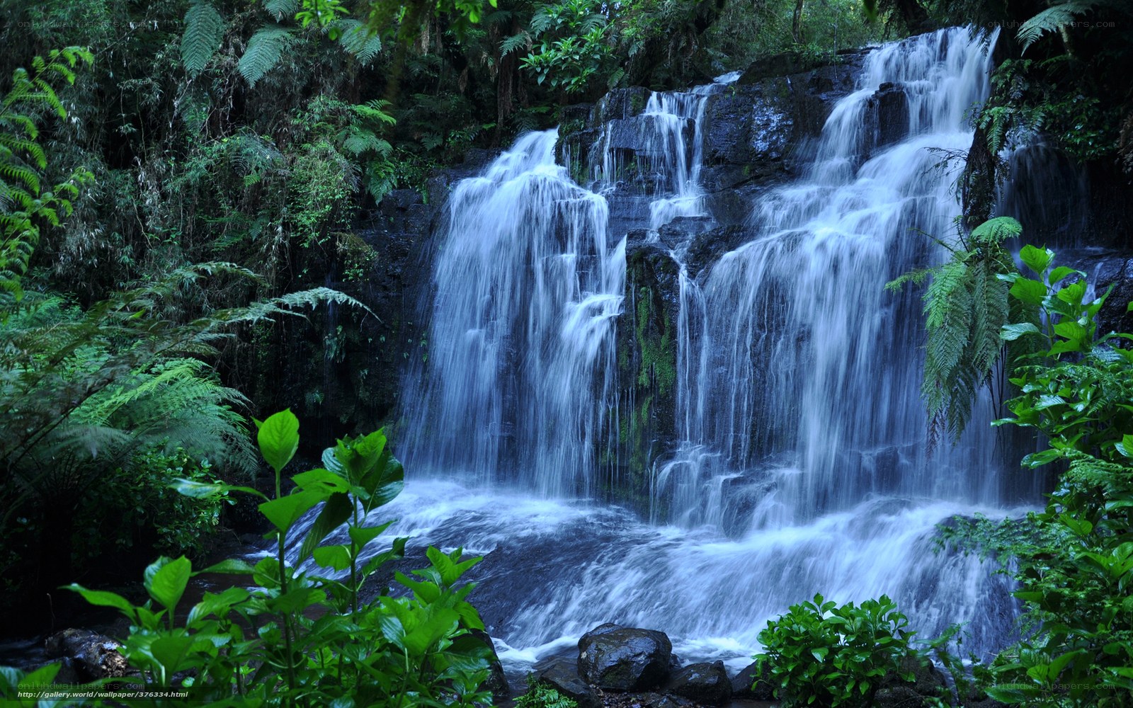 Waterfall in lush forest