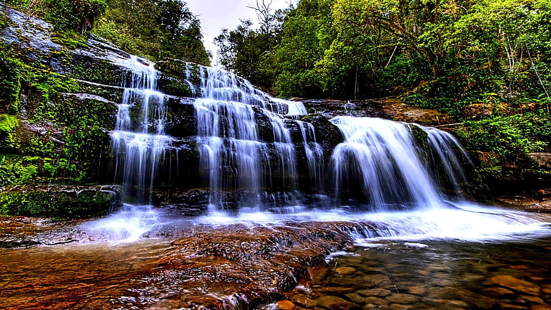 Waterfall in lush forest