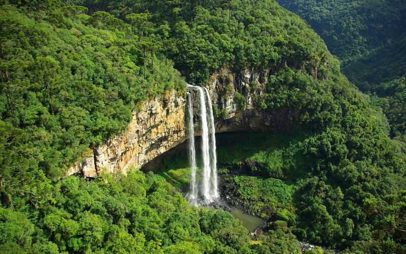 Waterfall in lush forest