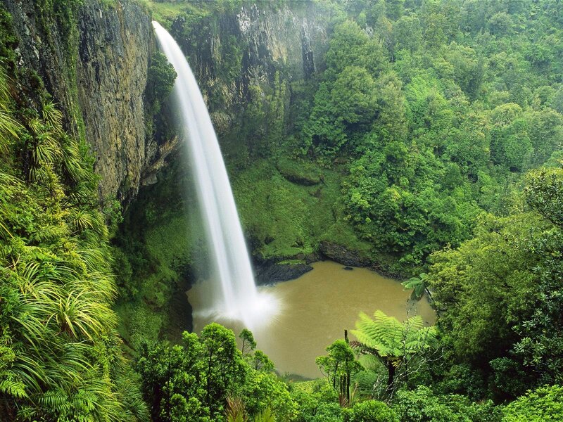 Waterfall in lush forest