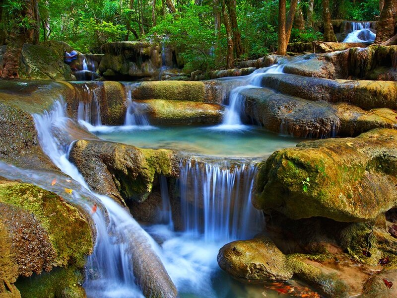 Waterfall in lush forest
