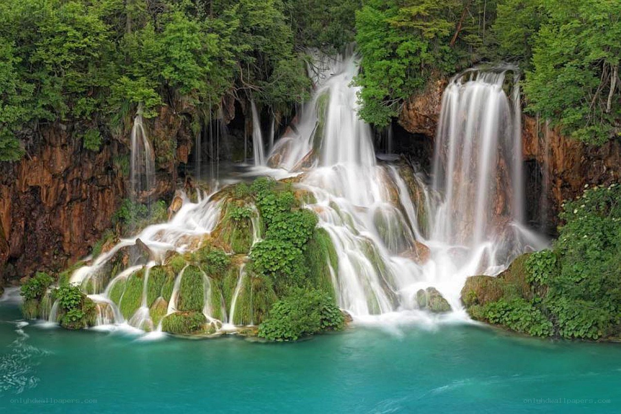 Waterfall in lush forest