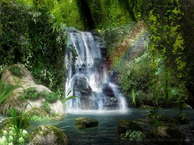Waterfall in lush forest
