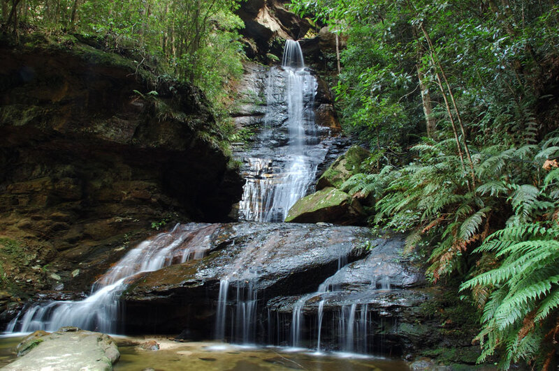 Waterfall in lush forest