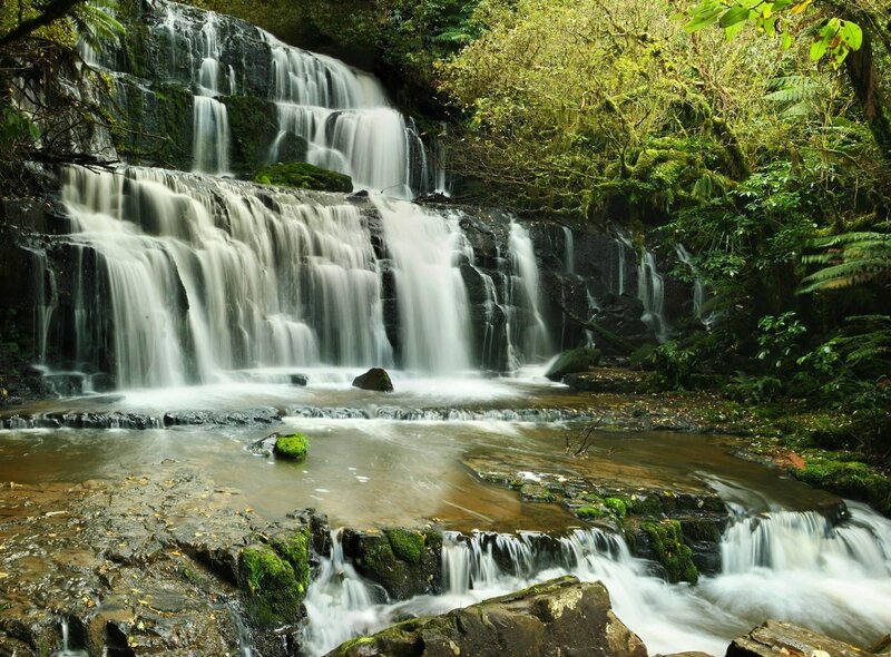 Waterfall in lush forest
