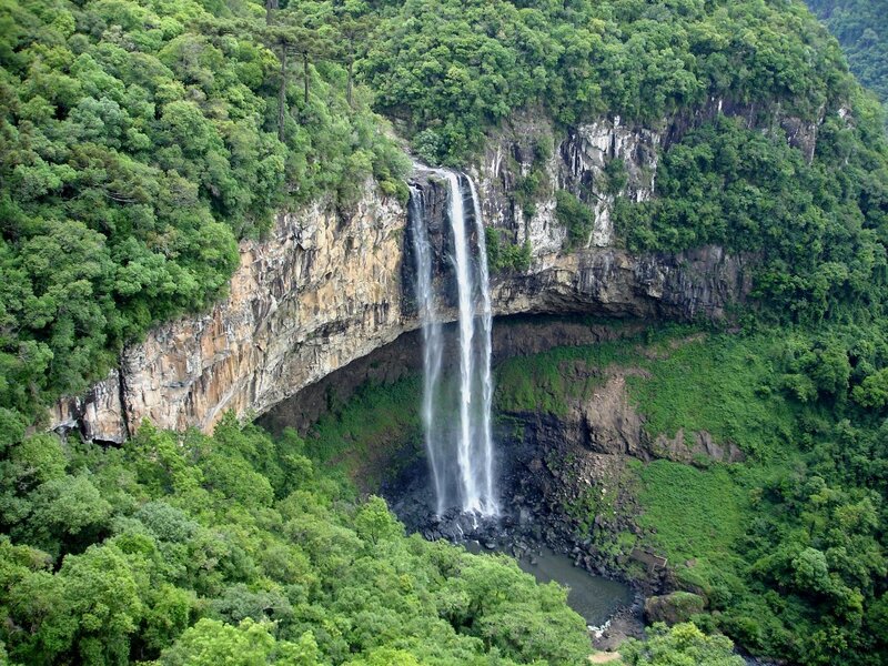 Waterfall in lush forest