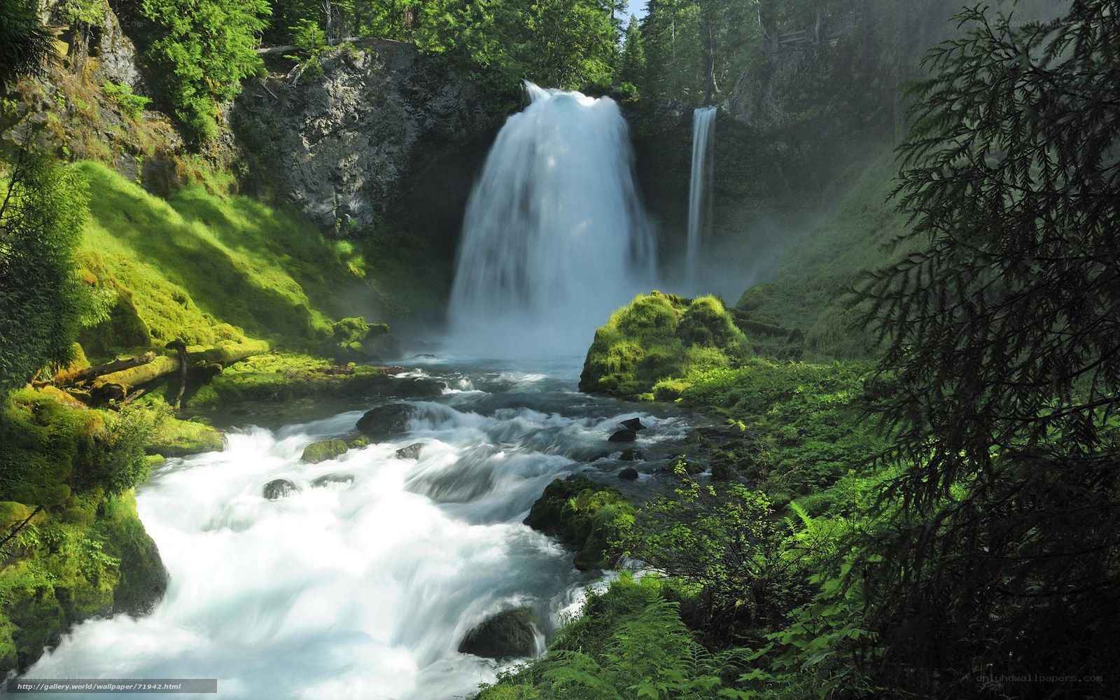 Waterfall in lush forest