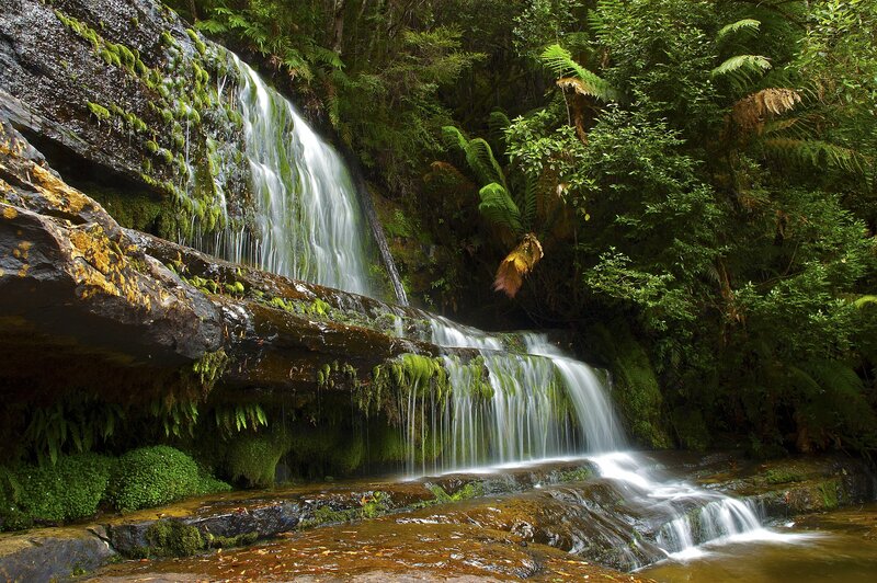 Waterfall in lush forest