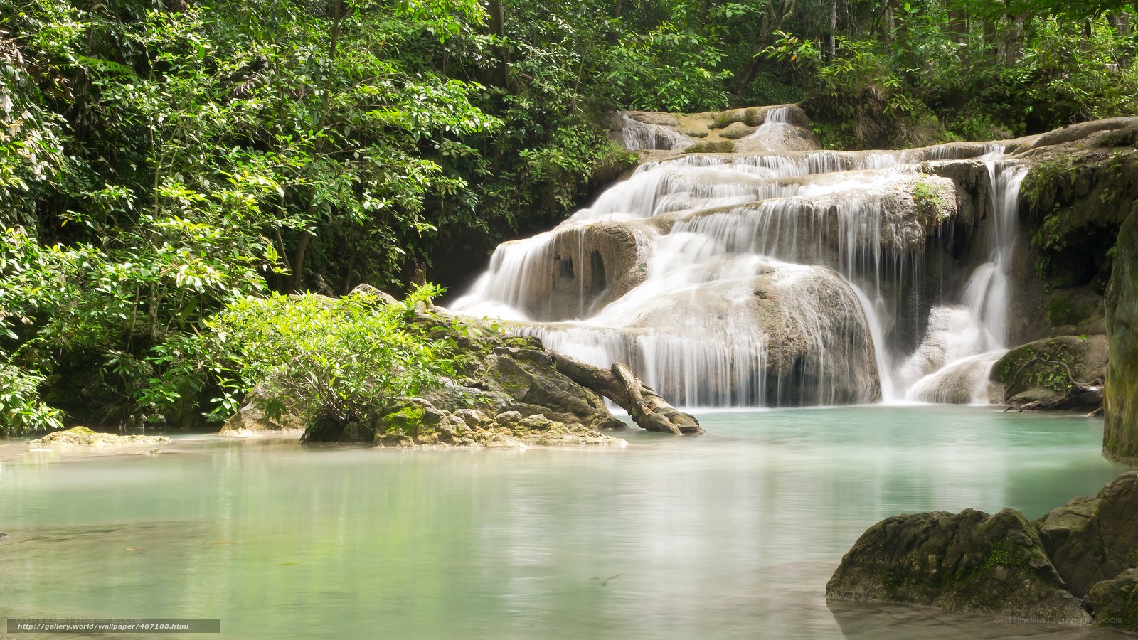 Waterfall in lush forest